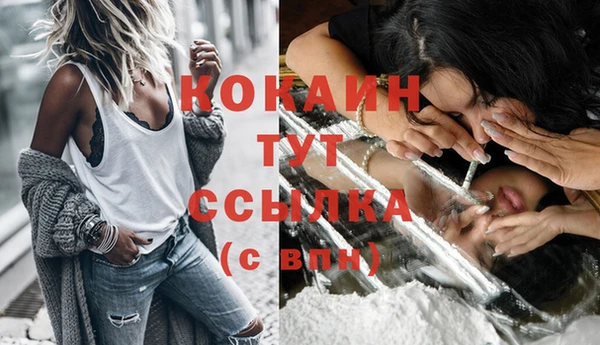 стафф Абаза