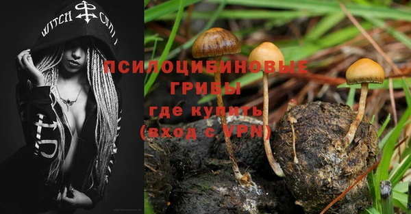 стафф Абаза