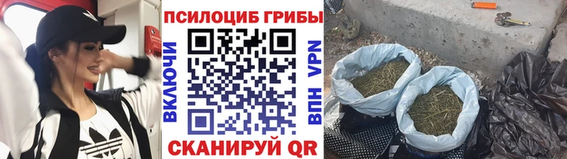 цена   Красновишерск  Псилоцибиновые грибы прущие грибы 